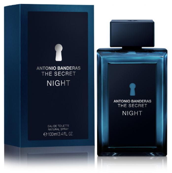 Antonio Banderas - The Secret Night
