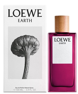 Loewe - Earth