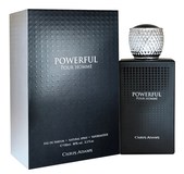 Мужская парфюмерия Chris Adams Powerful