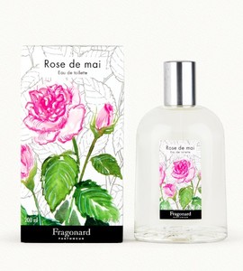 Fragonard - Rose De Mai