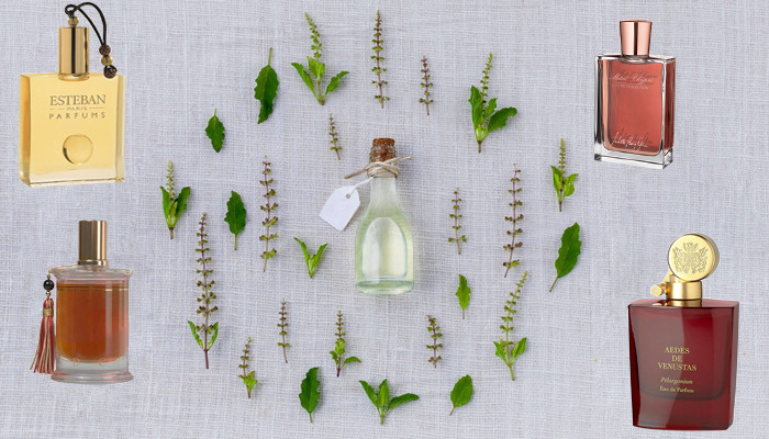 Современные шипровые ароматы