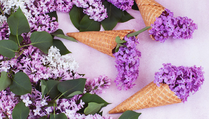 Ароматы с нотой сирени