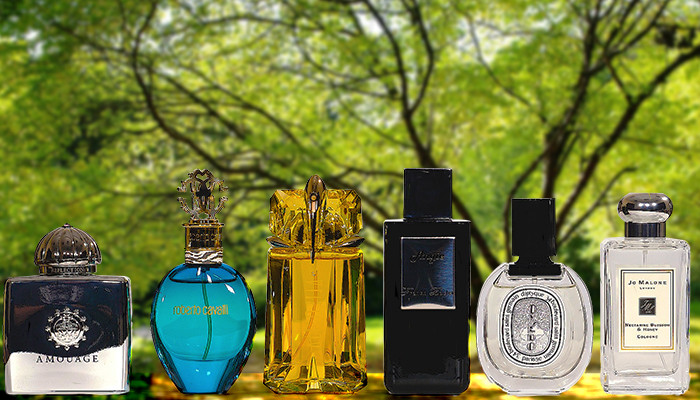 ТОП-6 ароматов на лето