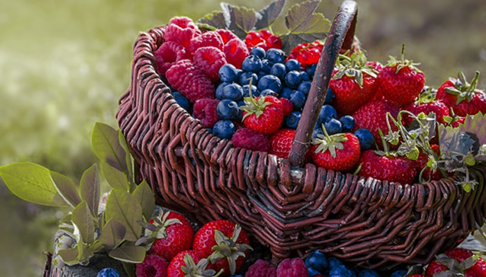 Ароматы с нотой лесных ягод