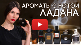 ладан в парфюмерии что это. Смотреть фото ладан в парфюмерии что это. Смотреть картинку ладан в парфюмерии что это. Картинка про ладан в парфюмерии что это. Фото ладан в парфюмерии что это