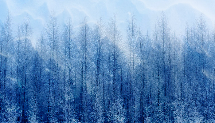 Зимние ароматы для мужчин