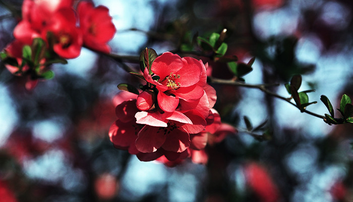 Подборка весенних ароматов 2020