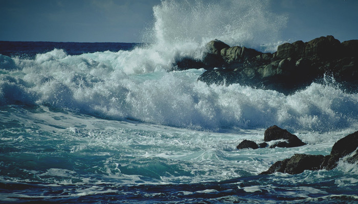 Акватические ароматы