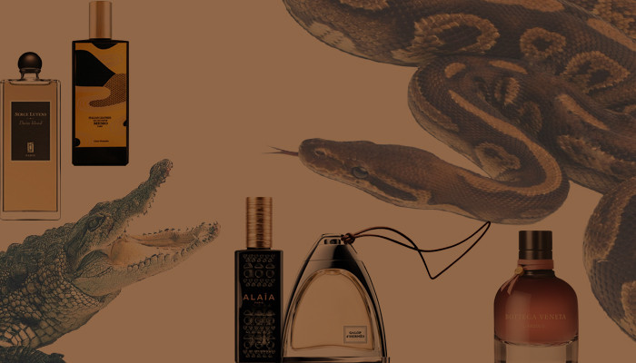 ТОП-5 кожаных ароматов для женщин. Подборка 5 лучших кожаных ароматов для женщин