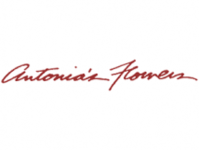 Antonia's Flowers Antonia's Flowers