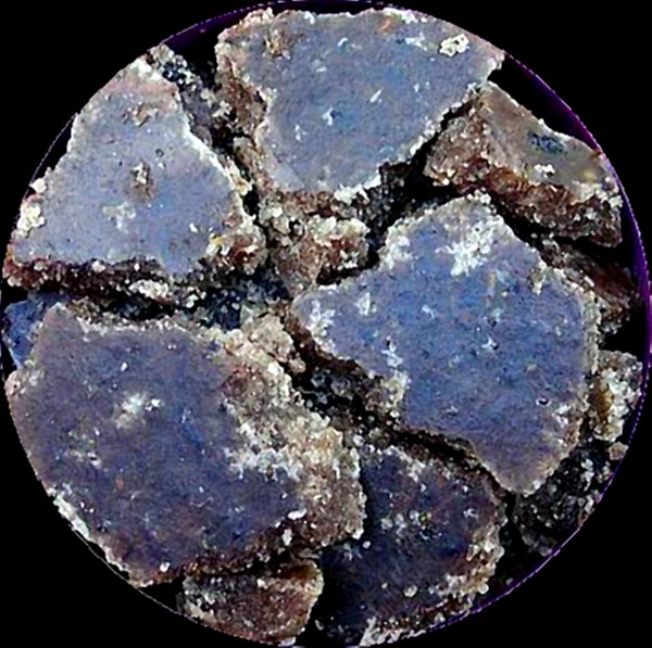 амбра амбра