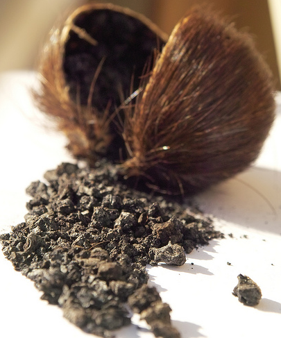 мускус мускус