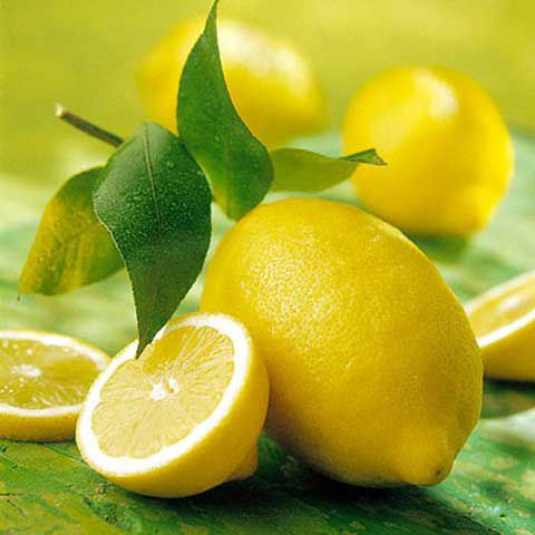 сицилийский лимон