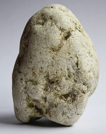 белая амбра белая амбра