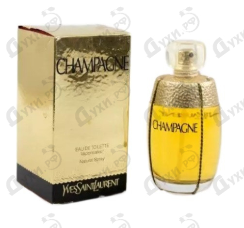 ysl parfum champagne,Free delivery,bobsherwood.net