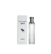 Купить Abercrombie & Fitch Spirit Perfume