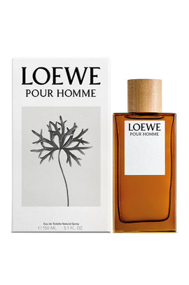 Отзывы на Loewe - Pour Homme