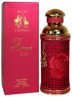 Купить U.s.polo Birraci