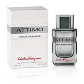 Мужская парфюмерия Salvatore Ferragamo Attimo
