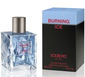 Мужская парфюмерия Iceberg Burning Ice