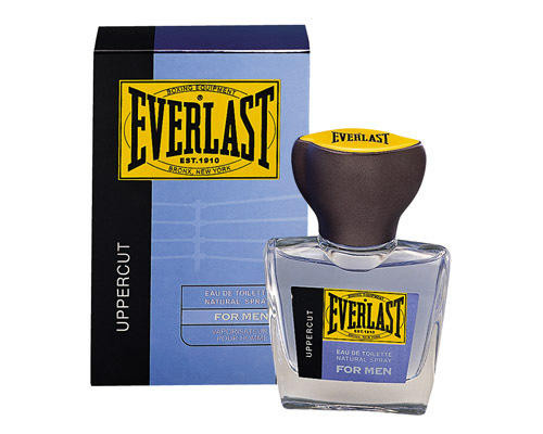 Everlast - Uppercut