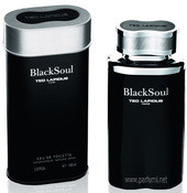Мужская парфюмерия Ted Lapidus Black Soul