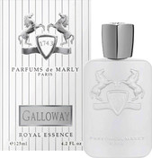 Купить Parfums de Marly Galloway Купить Parfums de Marly Galloway