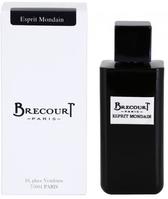 Мужская парфюмерия Brecourt Esprit Mondain