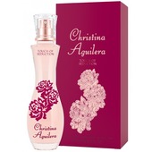 Купить Christina Aguilera Touch Of Seduction