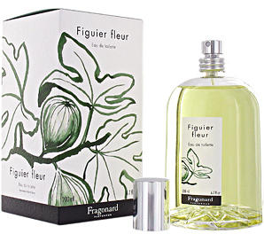 Fragonard - Figuier Fleur