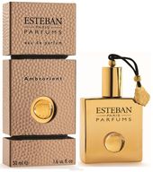 Купить Esteban Collection Accords Ambrorient