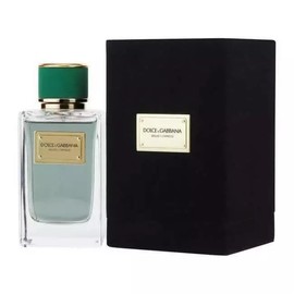 Отзывы на Dolce & Gabbana - Velvet Cypress