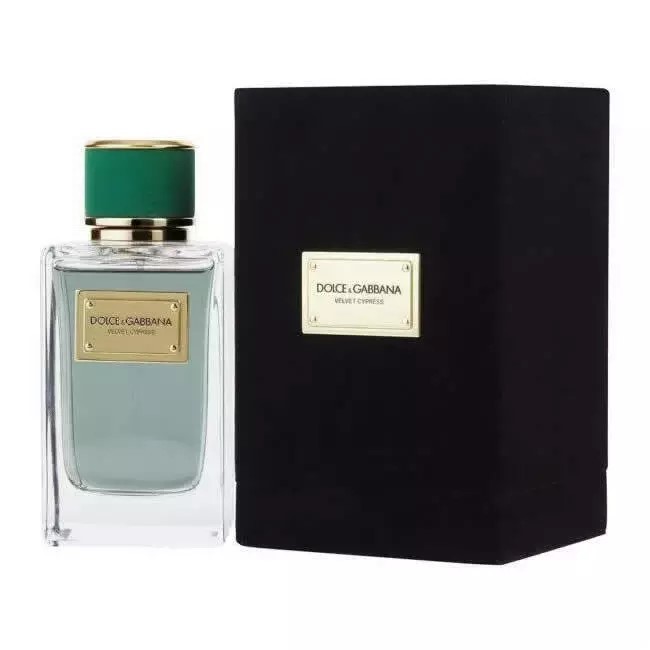 Dolce & Gabbana - Velvet Cypress