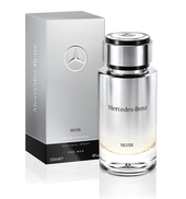 Купить Mercedes Benz Mercedes-benz Silver по низкой цене
