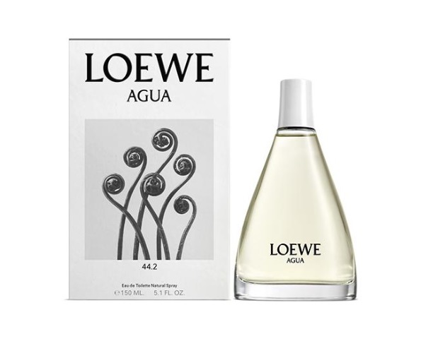 Loewe - Agua 44.2