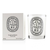 Купить Diptyque Coriandre