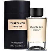 Купить Kenneth Cole Intensity