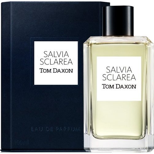 Tom Daxon - Salvia Sclarea