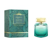 Купить Antonio Banderas Queen Of Seduction Absolute