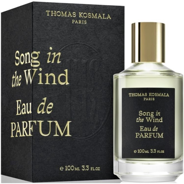 Thomas Kosmala - Song In The Wind