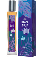 Купить Brocard Day Dreams Black Tulip Купить Brocard Day Dreams Black Tulip