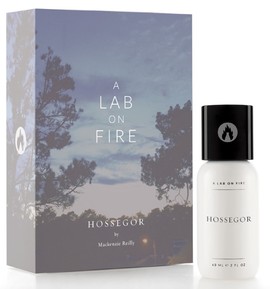 A Lab on Fire - Hossegor