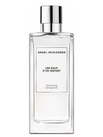 Купить Angel Schlesser Tempting Bergamot Купить Angel Schlesser Tempting Bergamot