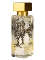 Купить Al-Jazeera Perfumes Sidra Wood