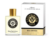 Купить Schwarzlose Berlin Rosa Centifolia