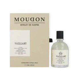 Moudon - Vaillant