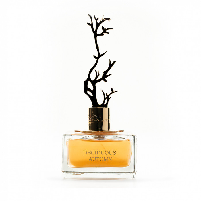 Aurora Scents - Deciduous Autumn