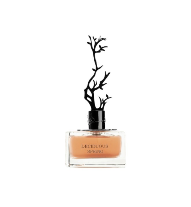 Aurora Scents - Deciduous Spring