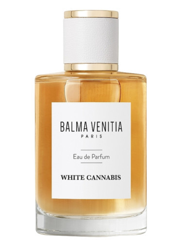 Balma Venitia - White Cannabis