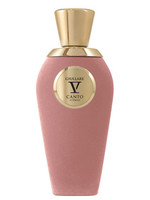 Купить V Canto Giullare